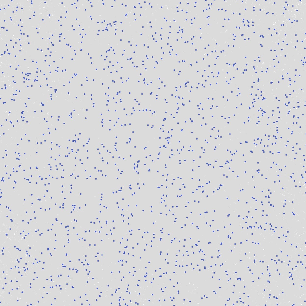 Drawing result of submission 440